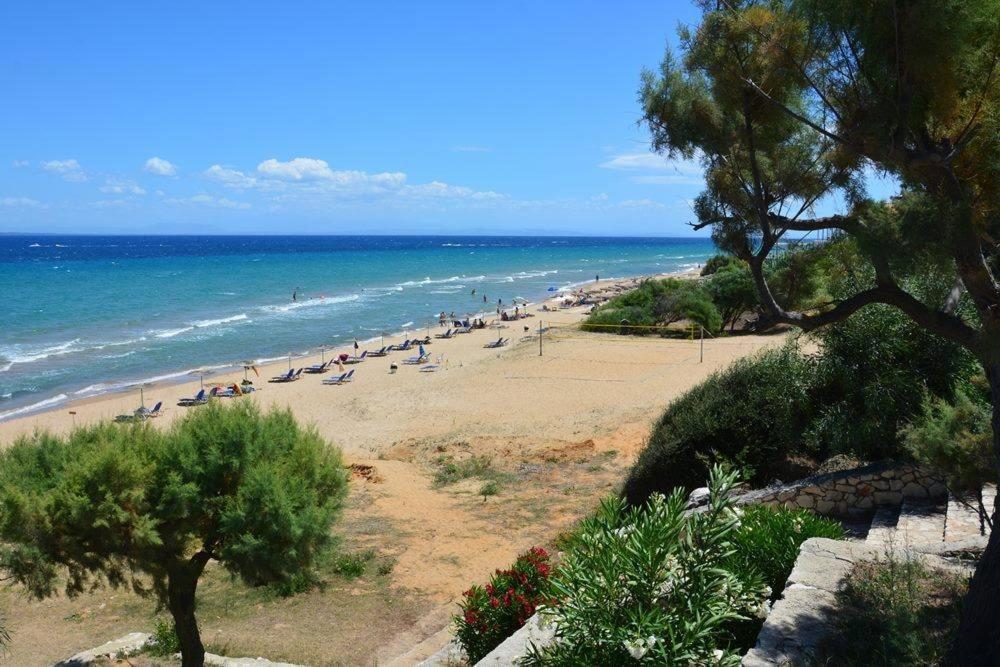 Stamiris Beach Hotel Vasilikí Zewnętrze zdjęcie